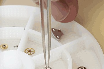 宁波劳力士表官售后点地址